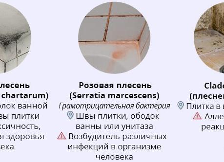 Устраните плесень в ванной