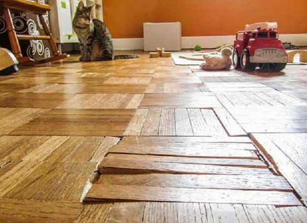 Реставрация паркета своими руками