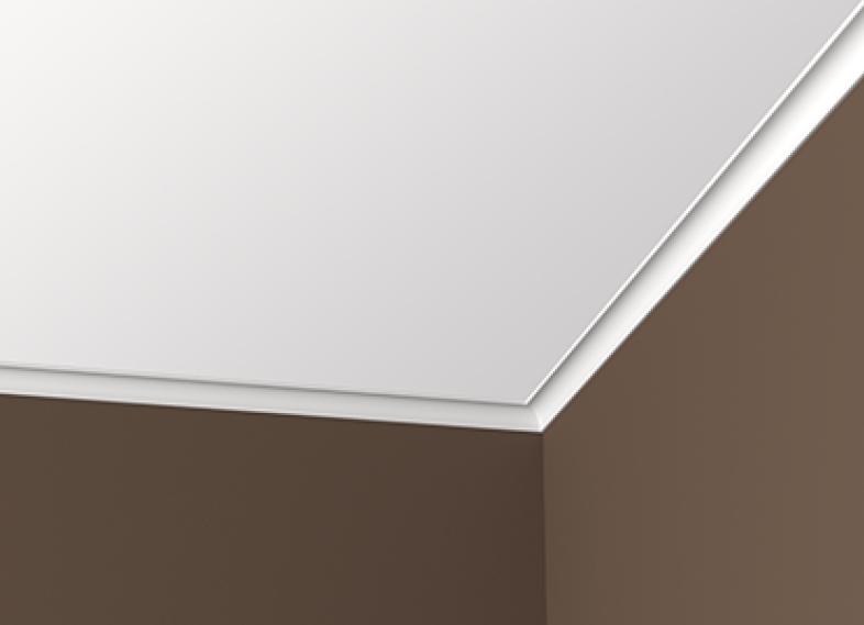 Современный напольный и потолочный плинтус в интерьере