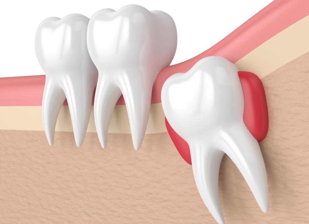 Уборка квартир в Нижнем Новгороде: обзор клининговых компаний города